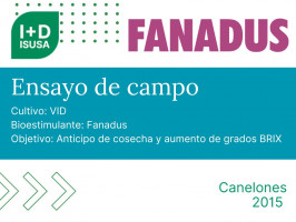 Fanadus - Canelones - 2015