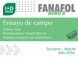 Fanafol Boro 8 - Durazno, Maciel - 2014