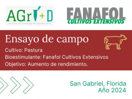 Fanafol Cultivos Extensivos - San Gabriel, Florida - 2024