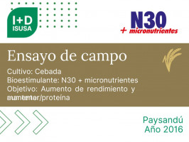 N30 + Micronutrientes - Paysandú - 2016
