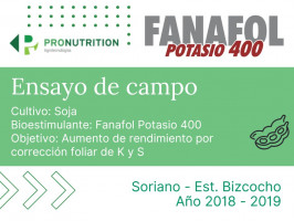 Fanafol Potasio 400 - Soriano, Est. Bizcocho - 2018/19
