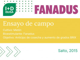 Fanadus - Melón - Salto, 2015