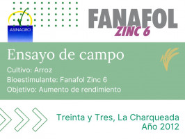 Fanafol Zinc 6 - Treinta y Tres, La Charquada - 2012