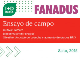 Fanadus en TOMATE - Salto, 2015