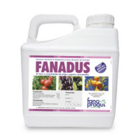 Fanadus