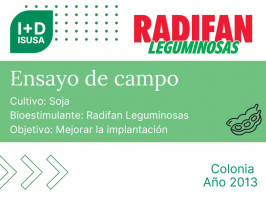 Radifan Leguminosas - Colonia - 2013