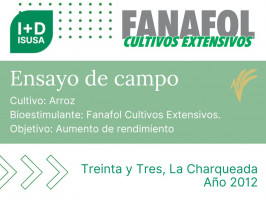 Fanafol Cultivos Extensivos - Treinta y Tres, La Charqueada - 2012