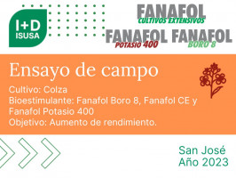 Fanafol Boro 8 + Fanafol Potasio 400 + Fanafol Cultivos Extensivos - San José - 2023