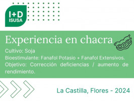 Fanafol Potasio 400  + Fanafol Cultivos Extensivos - La Castilla Flores - 2024