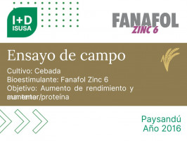 Fanafol Zinc 6 - Paysandú - 2016