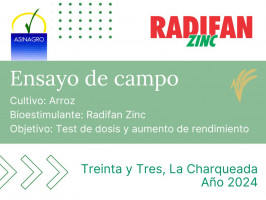 Radifan Zinc - Treinta y Tres, La Charqueada - 2024