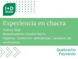 Fanafol Hierro - Quebracho, Paysandú