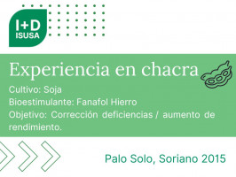 Fanafol Hierro 6 - Palo Solo - 2015