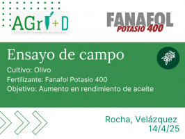 Ensayo de campo: Fanafol Potasio 400 - Velázquez, Rocha
