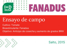 Fanadus en Tomate - Salto, 2015