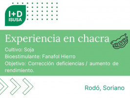 Fanafol Hierro - Rodó, Soriano